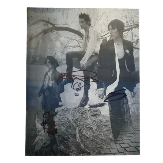 Album cover with three people sitting on a stone wall in a park, with autographs on it.